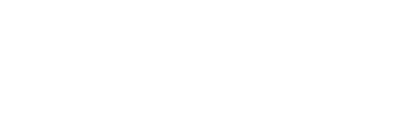 Rheo Transport Services